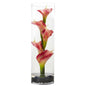 20" Calla Lily in Cylinder Glass