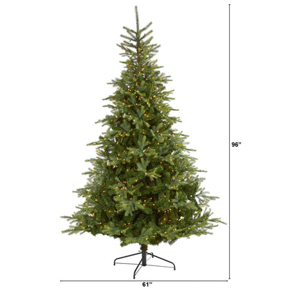8' North Carolina Spruce Artificial Christmas Tree w 650 Clear Lights