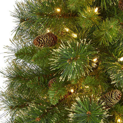 5' Golden Tip Washington Pine Artificial Christmas Tree with 150 Clear Lights