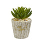 11"  Succulent Artificial Plant in Weathered Oak Planter