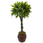 4.5' Money Tree in Planter