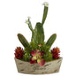24" Mixed Succulent Artificial Plant in Decorative Planter