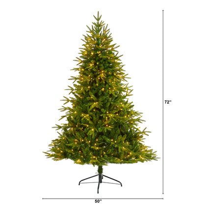6' Colorado Mountain Fir 'Natural Look' Artificial Christmas Tree w/ 350 LED