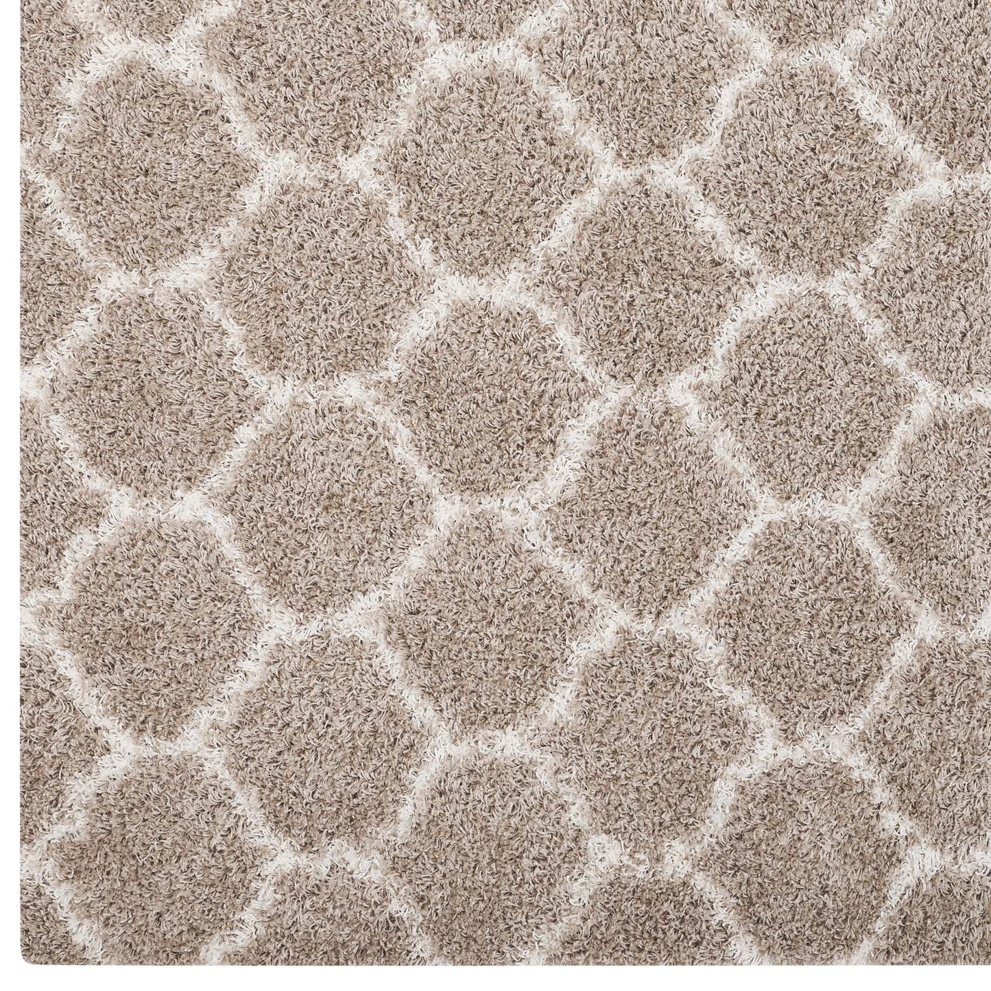 Solvea Moroccan Trellis 5x8 Shag Area Rug by Modway