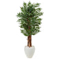 5' Parlor Palm Tree in White Oval Planter