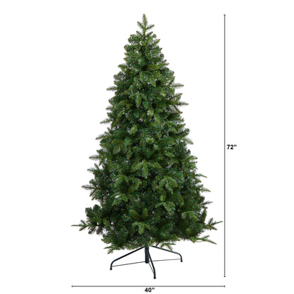 6' Grand Teton Spruce Flat Back Artificial Christmas Tree w180 Clear LED Lights