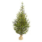 5' Fraser Fir "Natural Look" Artificial Christmas Tree w 200 Clear LED Lights