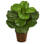 20"  Fiddle Leaf Artificial Plant in Basket