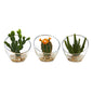 7"  Mixed Succulent Artificial Plant in Glass Vase (Set of 3)