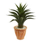 Agave Artificial Plant in Terra Cotta Planter