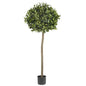 5' Sweet Bay Ball Topiary Silk Tree