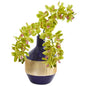 Phalaenopsis Orchid Artificial in Blue and Gold Designer Vase
