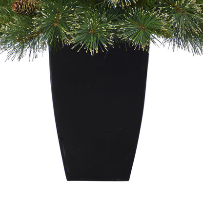 3.5' Golden Tip Washington Pine Artificial Christmas Tree w/ 50 Clear Lights