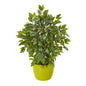 16" Mini Ficus Artificial Tree in Green Planter