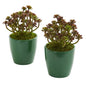 Sedum Artificial Plant in Green Planter (Set of 2)