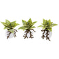 6"  Dusty Succulent Artificial Plant in White Vase (Set of 3)