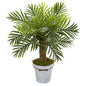 27" Robellini Palm Artificial Tree in White Washed Vintage Metal Pail