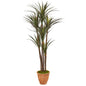 69"  Giant Yucca Artificial Tree in Terracotta Planter UV Resistant