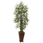 5.5' Black Bamboo Tree in Decorative Planter