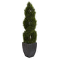 5' Double Pond Cypress Spiral Topiary Artificial Tree in Black Wash Planter