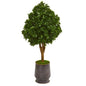 49"  Tea Leaf Artificial Tree in Metal Planter UV Resistant (Indoor/Outdoor)