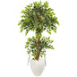 56"  Variegated Ficus Artificial Tree in White Planter