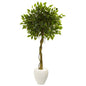 5.5' Ficus Artificial Tree in White Oval Planter UV Resistant