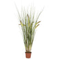 2.5' Grass Plant