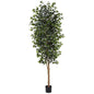 8' Ficus Tree w/1512 Lvs