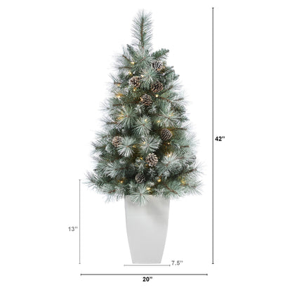 3.5' Frosted Tip British Columbia Mountain Pine Artificial Christmas Tree