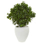32" Peperomia Artificial Plant in White Planter UV Resistant (Indoor/Outdoor)