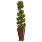 4.5' English Ivy Tree in Decorative Wood Planter