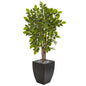 57"  River Birch Artificial Tree in Black Planter