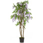 5' Wisteria Silk Tree