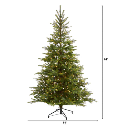 7' North Carolina Spruce Artificial Christmas Tree w 450 Clear Lights