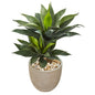 34"  Double Agave Succulent Artificial Plant in Sand Stone Planter