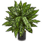 Silver King Artificial Plant in Black Glass Vase