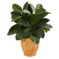 29" Artificial Rubber Plant In Terra Cotta Planter 9245 By Nearly Natural