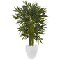 4.5' Bamboo Tree in White Oval Planter