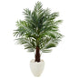 4.5' Areca Palm Tree in White Oval Planter
