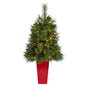 44' Golden Tip Washington Pine Artificial Christmas Tree w/ 50 Clear Lights