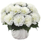 Carnation Artificial Arrangement in Marble Finished Vase
