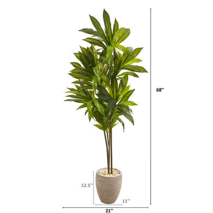 68" Dracaena Artificial Plant in Sand Colored Planter (Real Touch)