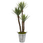 63" Yucca Artificial Tree in Tin Bucket