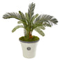 33"  Cycas Artificial Plant in White Planter