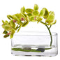 Phalaenopsis Orchid Artificial Arrangement in Glass Vase