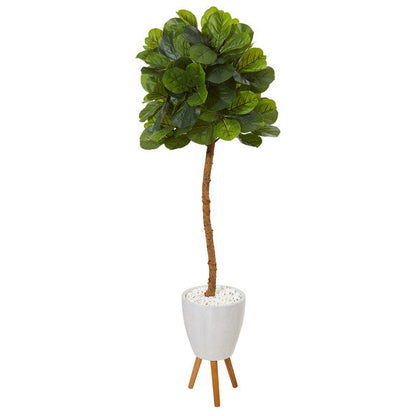 5.5' Fiddle Leaf Artificial Tree in White Planter with Stand (Real Touch)