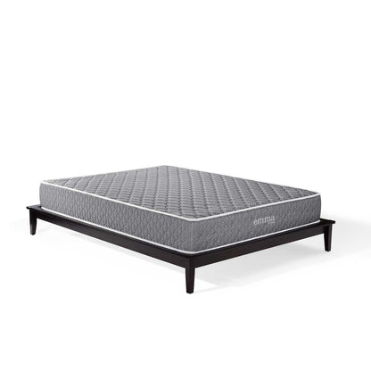 Mila 10" Queen Mattress by Modway