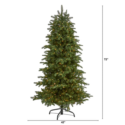 6' South Carolina Fir Artificial Christmas Tree w 450 Clear Lights