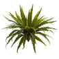 26" Asplenium Artificial Plant (Set of 2)